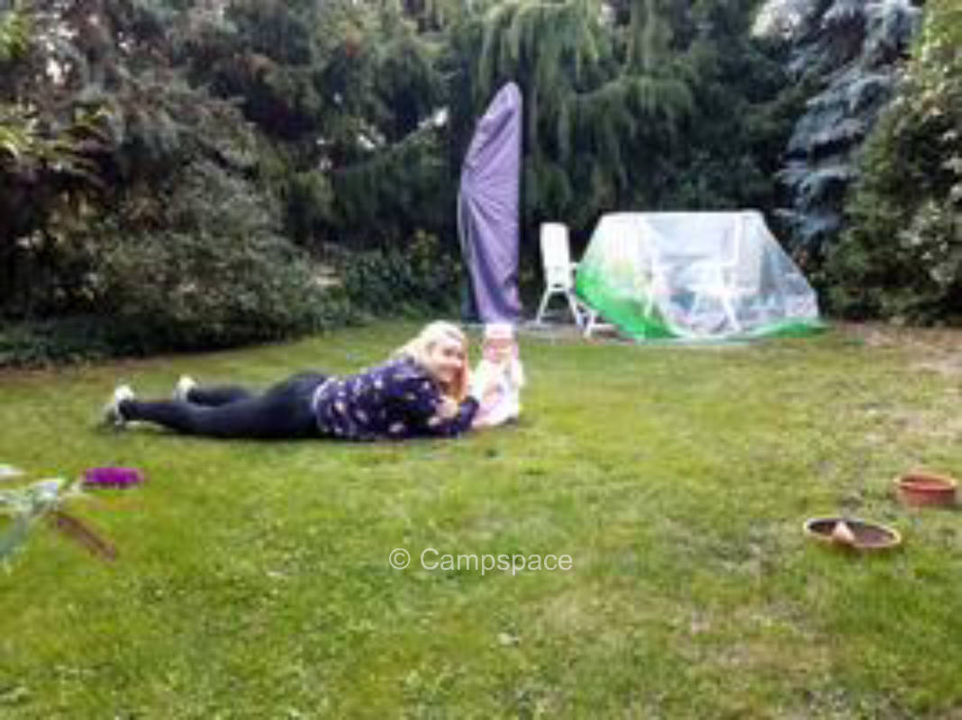 Pure nature, on one side the field on the other side the forest with lake