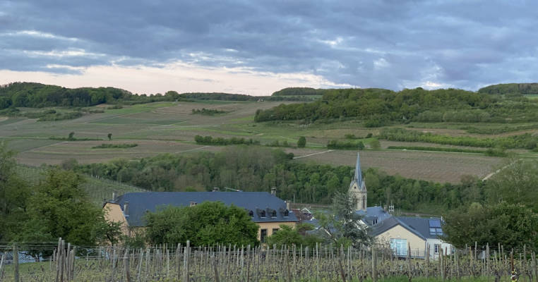Stellplatz am Weingut