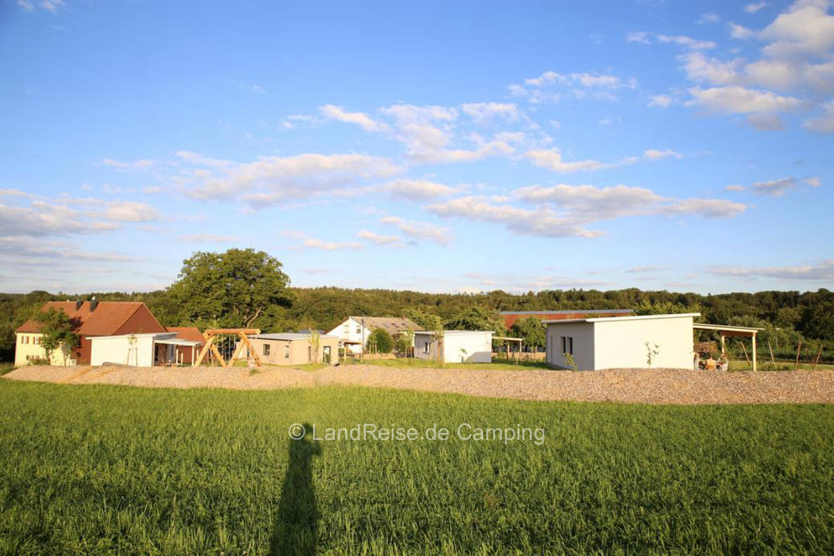Pitch in the land oasis