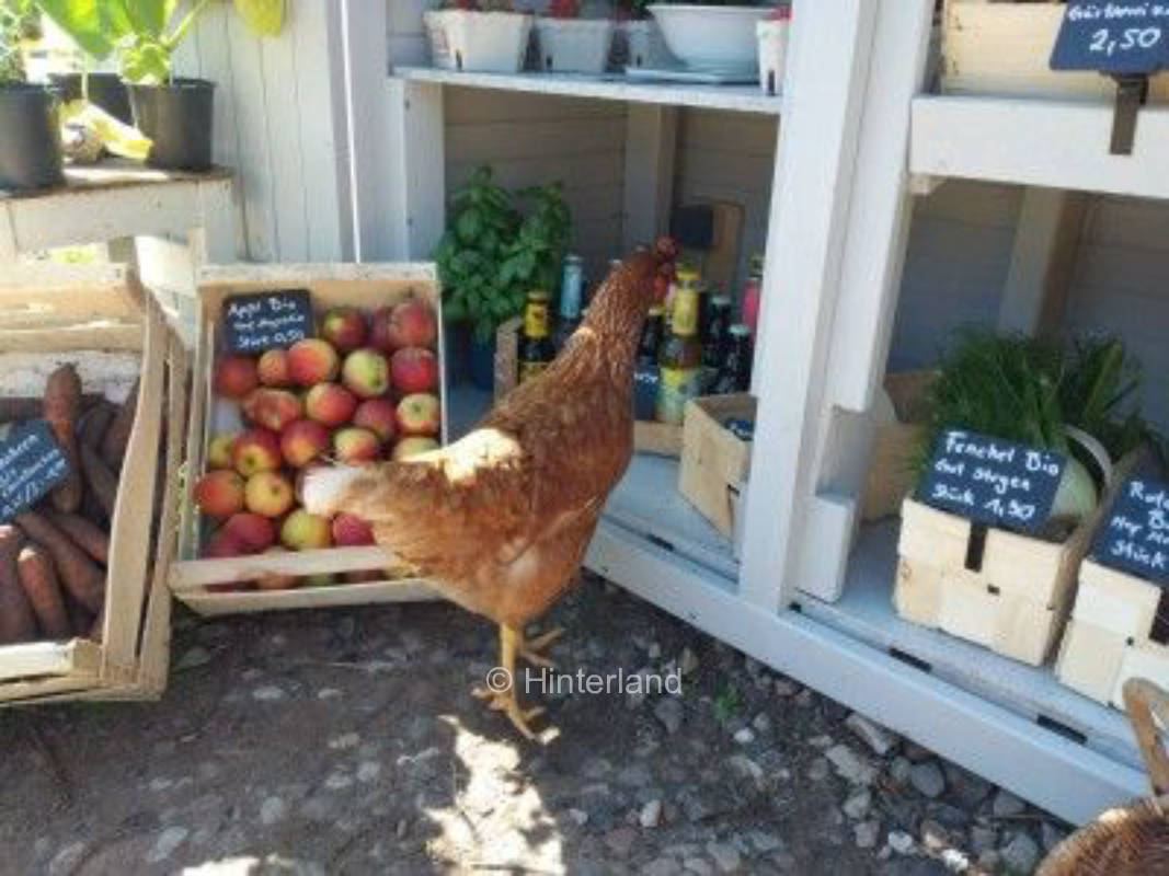*idyllic farm near the Baltic Sea & Lübeck*
