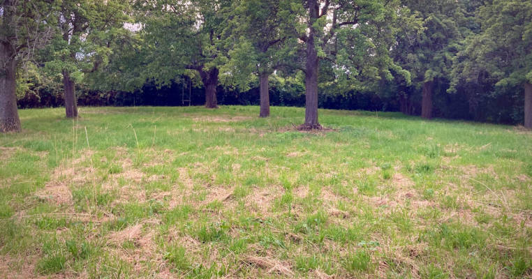 City Edge Idyll – Camping in Wandelgrund