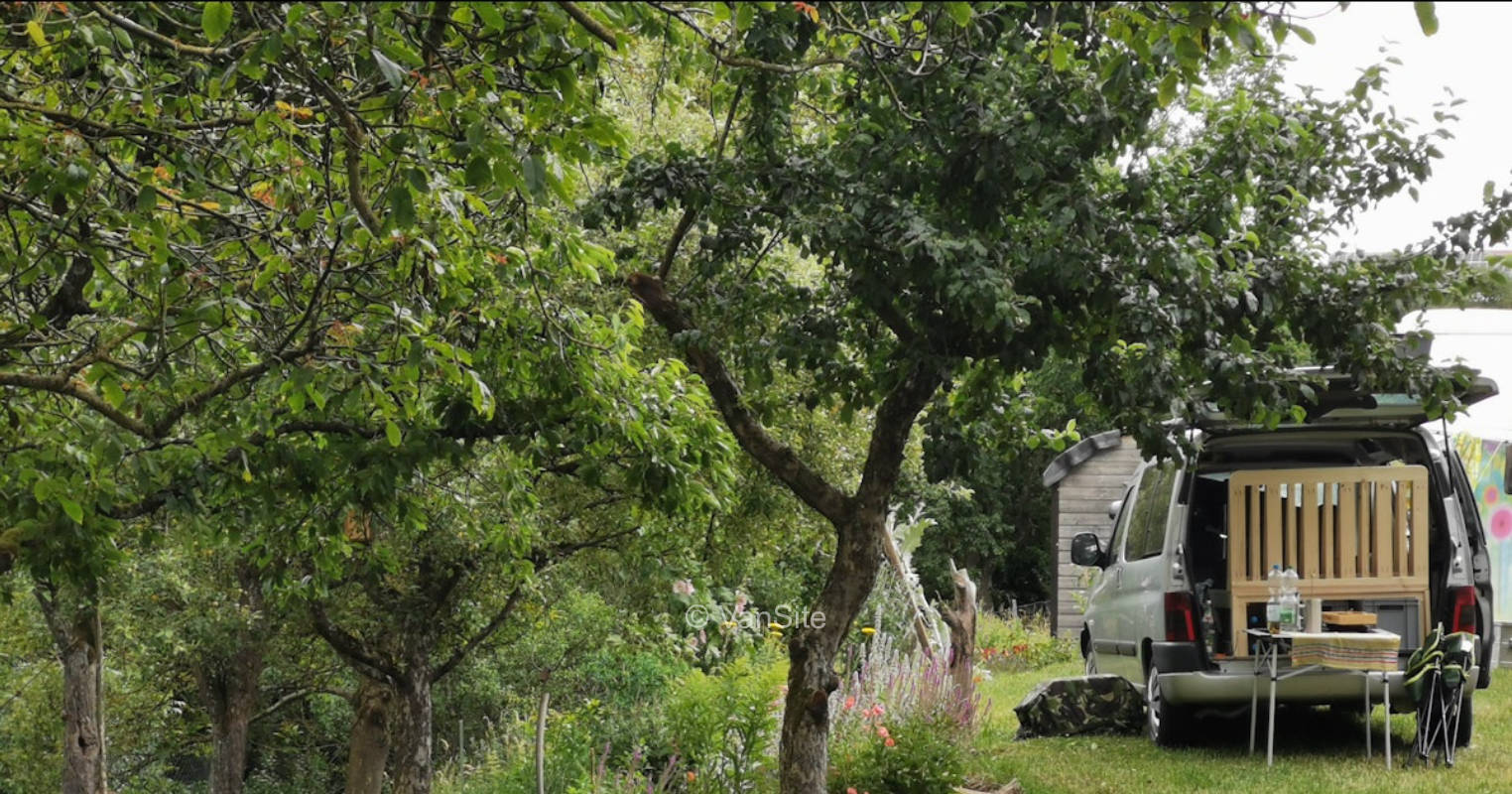 Unter dem Walnussbaum