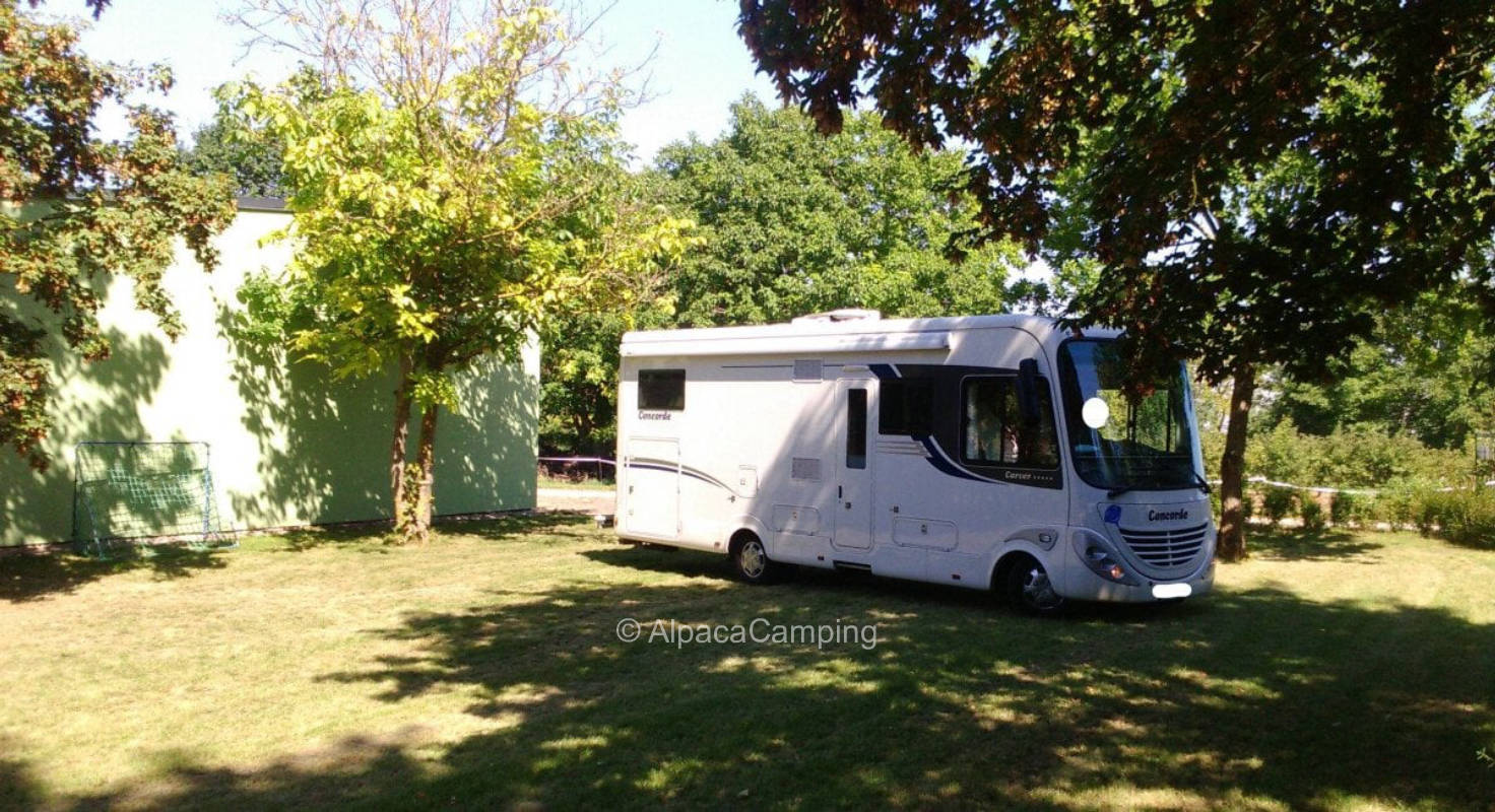 Beautiful pitch at the vineyards in Bermersheim #1