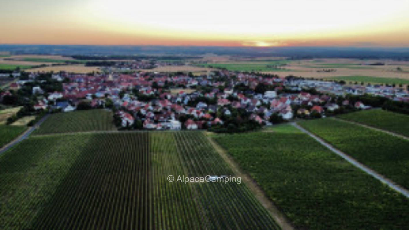 Vineyard parking lot with far view into the Franconian country