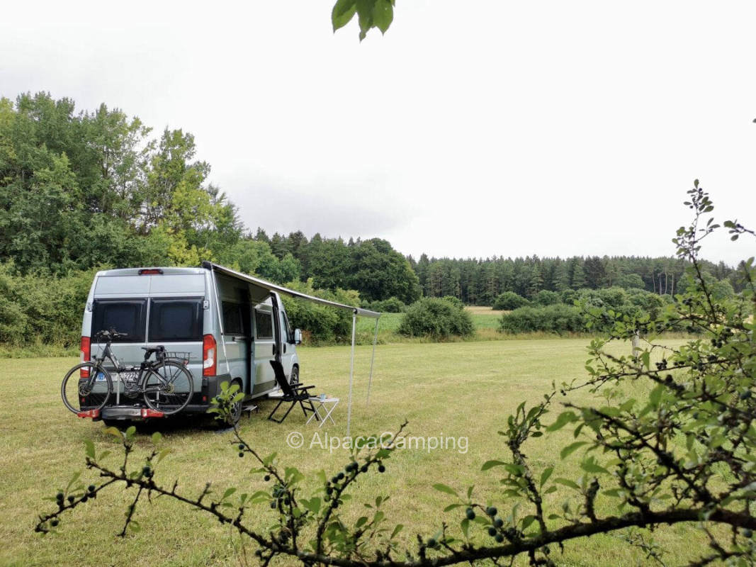 Meadow near Wolfertsfeld in Birgland #1