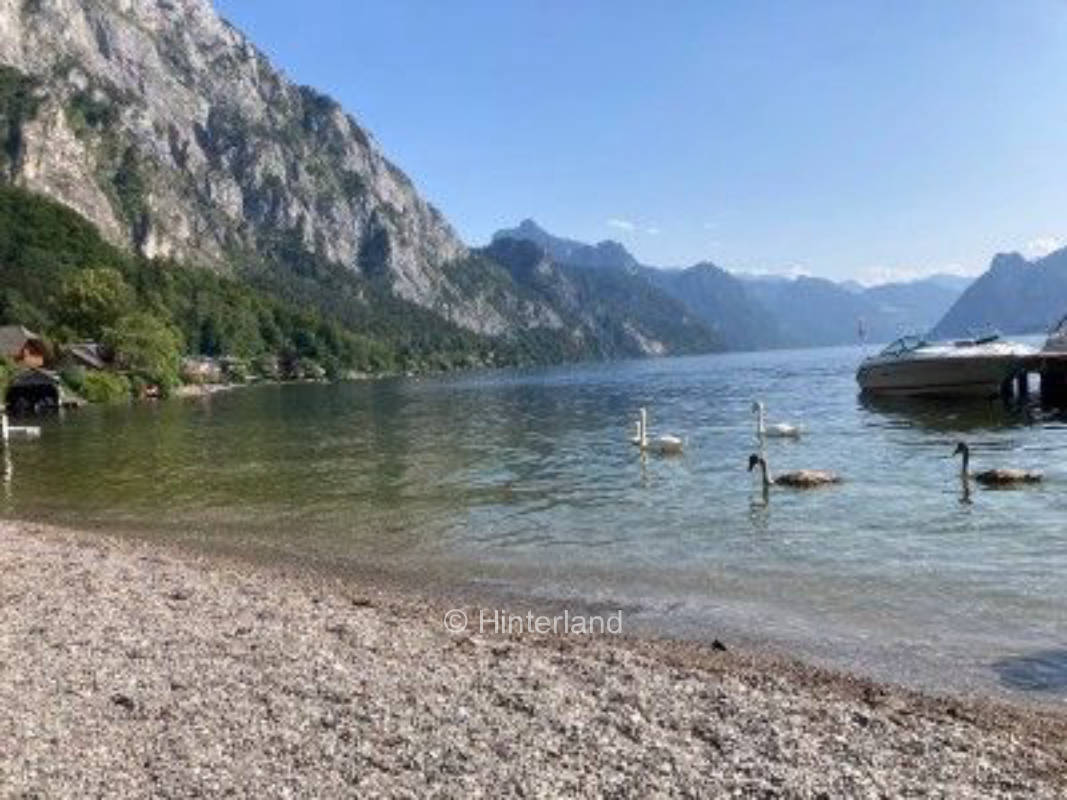 Urlaub im Salzkammergut Gmunden - Traumgrundstück