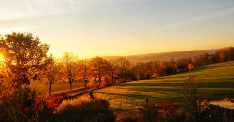 auf der Wiese + am Wald
