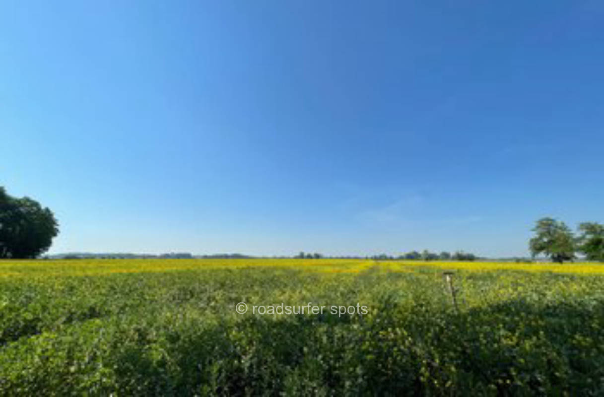 Sonnige Küstenwiese mit weitem Blick über das Feld