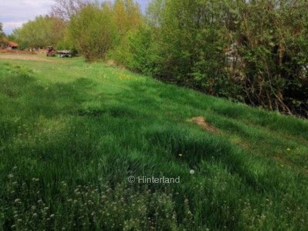 Self-sufficient camping in the heart of Thuringia, privater Stellplatz