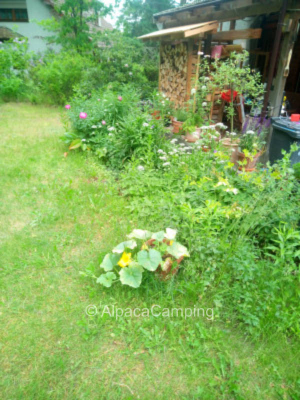 +++ 365 days hospitality +++ Winter campers are welcome +++