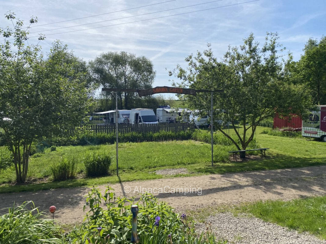 Ostrich farm & living farm, quiet pitch in the middle #1