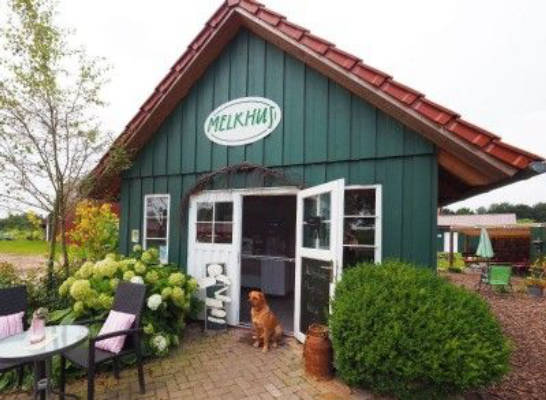 Mit den Hühner aufwachen und Natur genießen