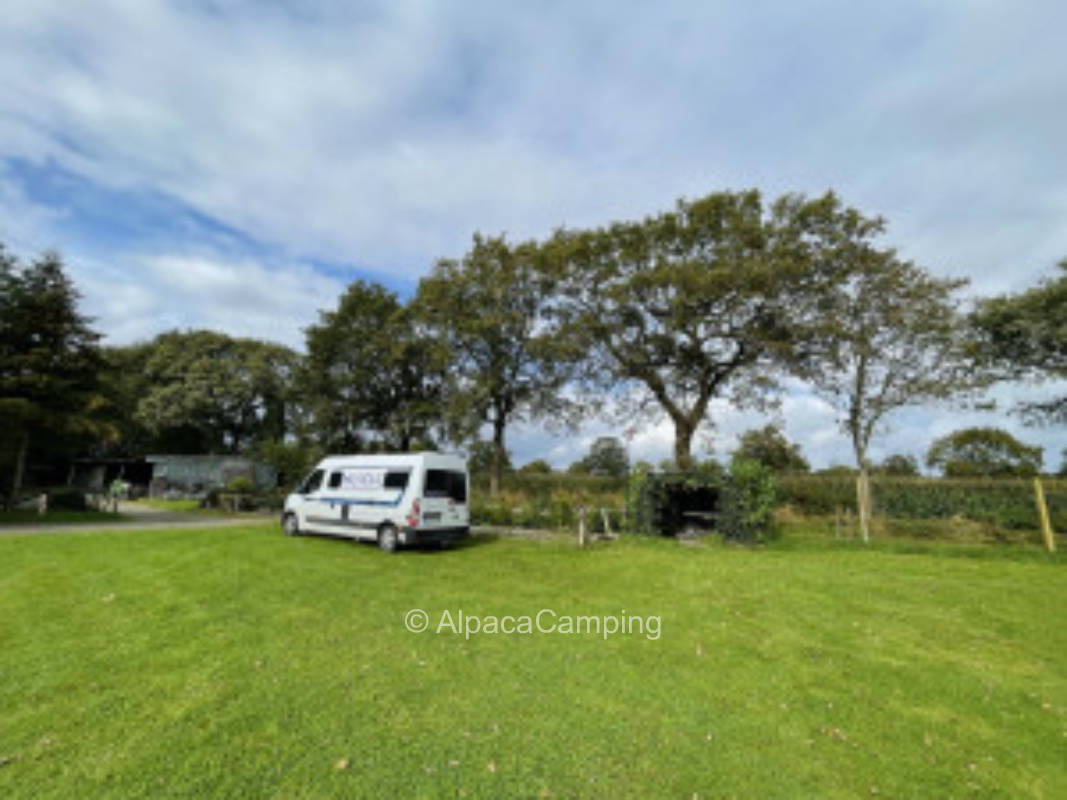 Hermann's pitch at the horse meadow #6