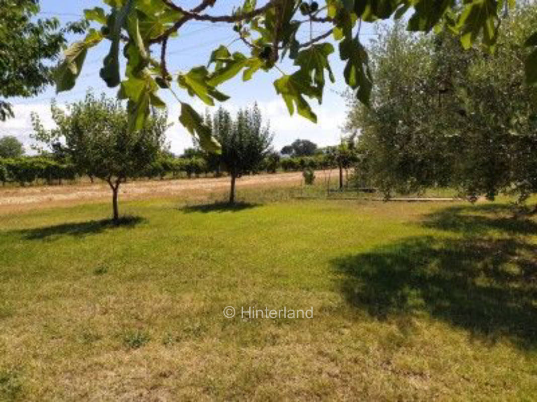 Wohnmobilstellplätze in der Nähe des MisanoCircuit