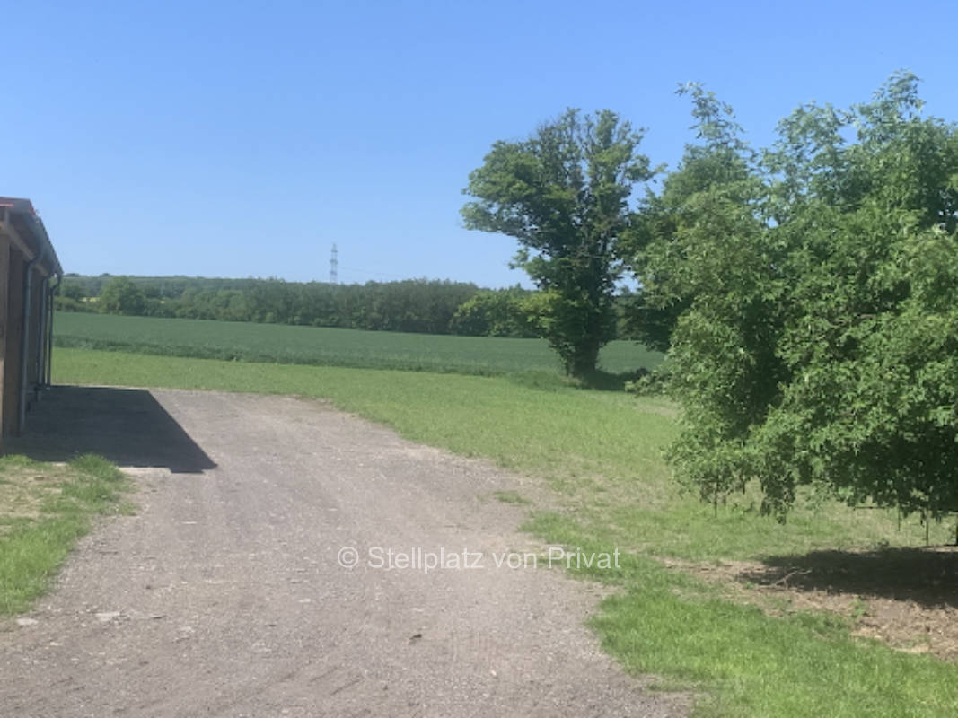 Rasenplatz mit Sonnenuntergang