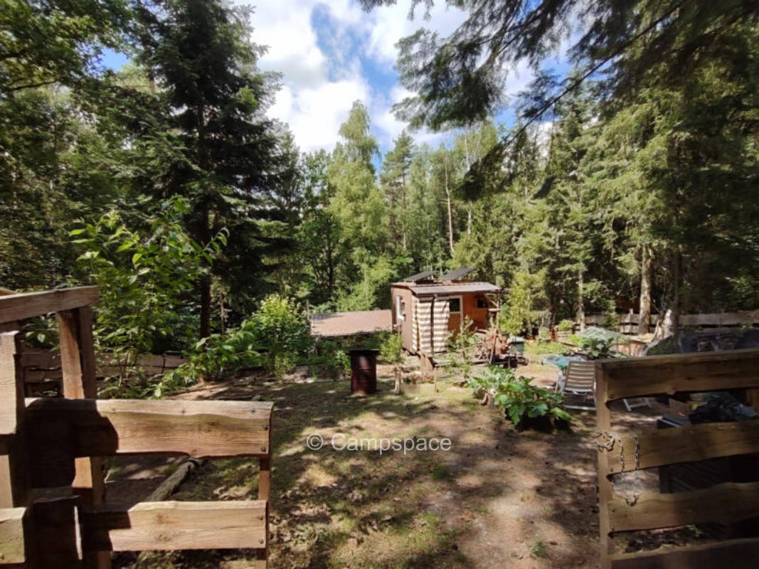 Platztyp für 4 Personen (Campspace 25840)