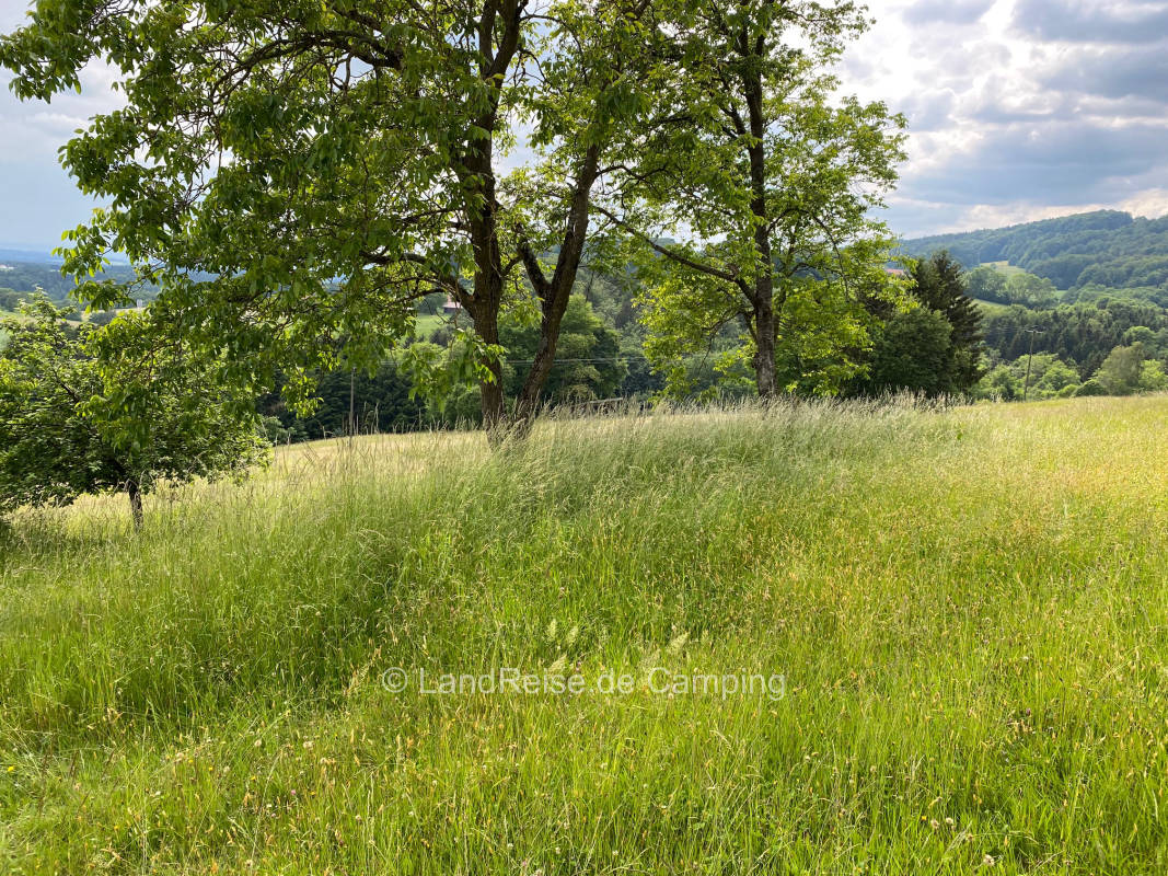 Einzel-Stellplatz Blick ins Donautal am Weiher