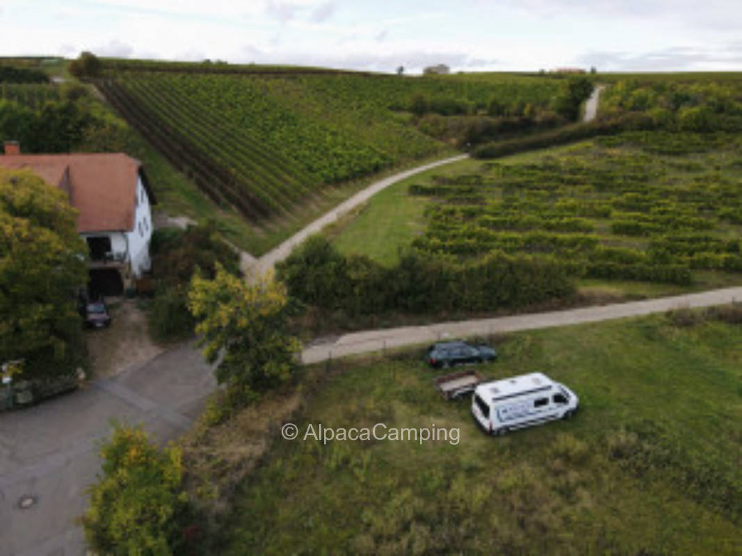 Camping in Mölsheim #3