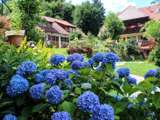 Haghof Seelbach