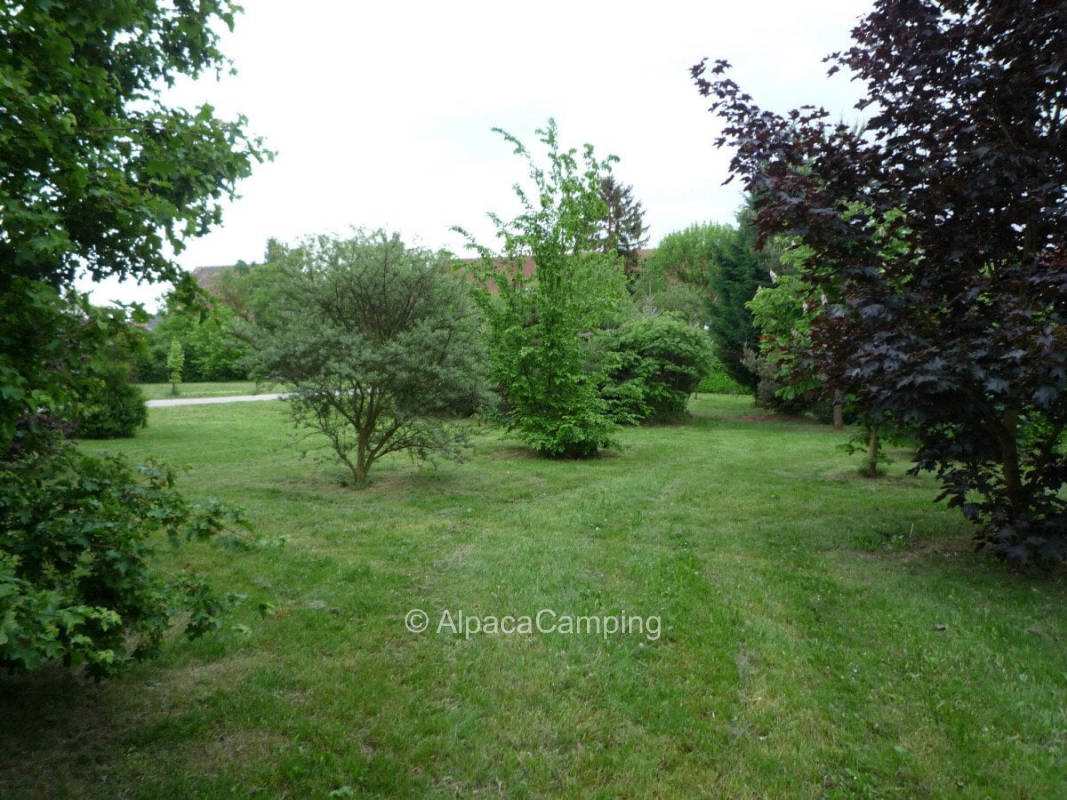 AlpacaCamping 5076