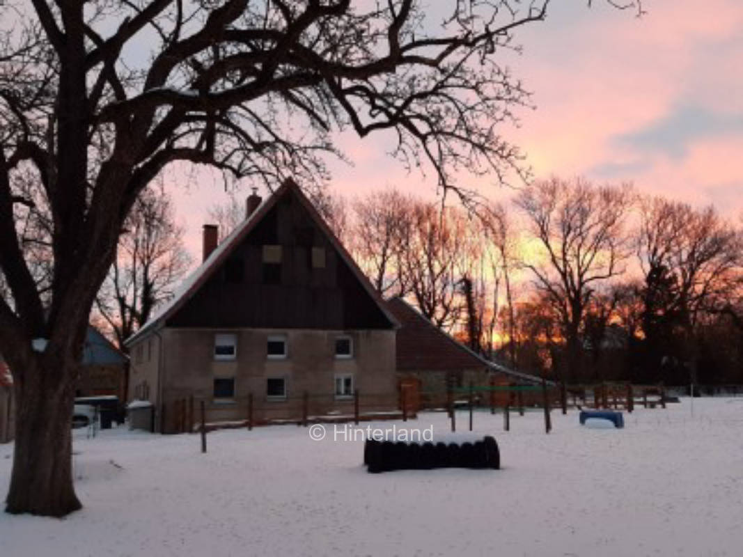 Stay in paradise, horse accommodation possible