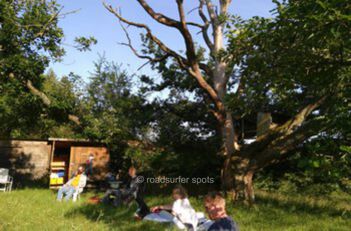 Streuobstwiese Eberstadt