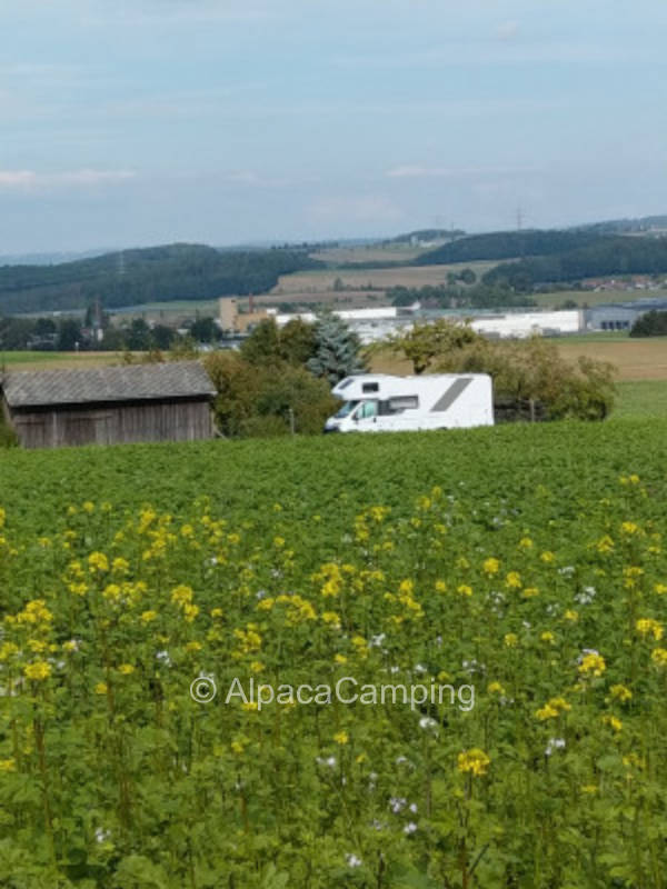 Himmelleite - #1: Oasis of well-being with cottage garden and small alpaca farm, privater Stellplatz