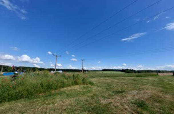 Auf der Wiese