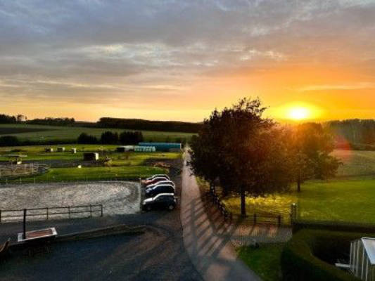 Horse ranch for Icelandic horses at Storchennest