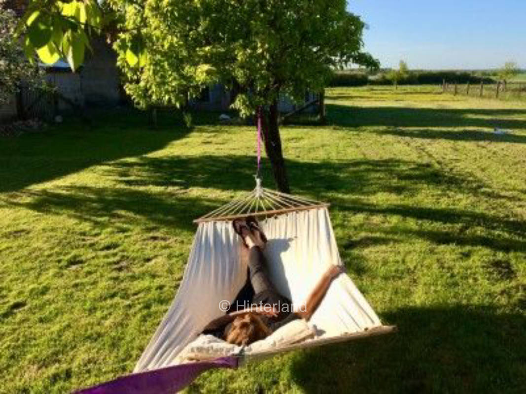 Green oasis of peace with old fruit trees and far view