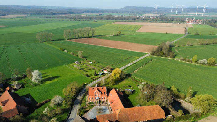 Idyllischer Stellplatz unter Trauerweide (Campspace 7413)