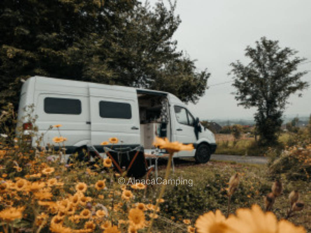 Grüner Stellplatz mit Sicht auf das Siebengebirge #1