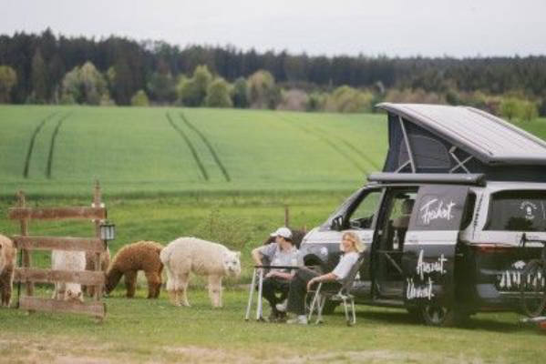 Camping at the Alpaca and Donkey Pasture