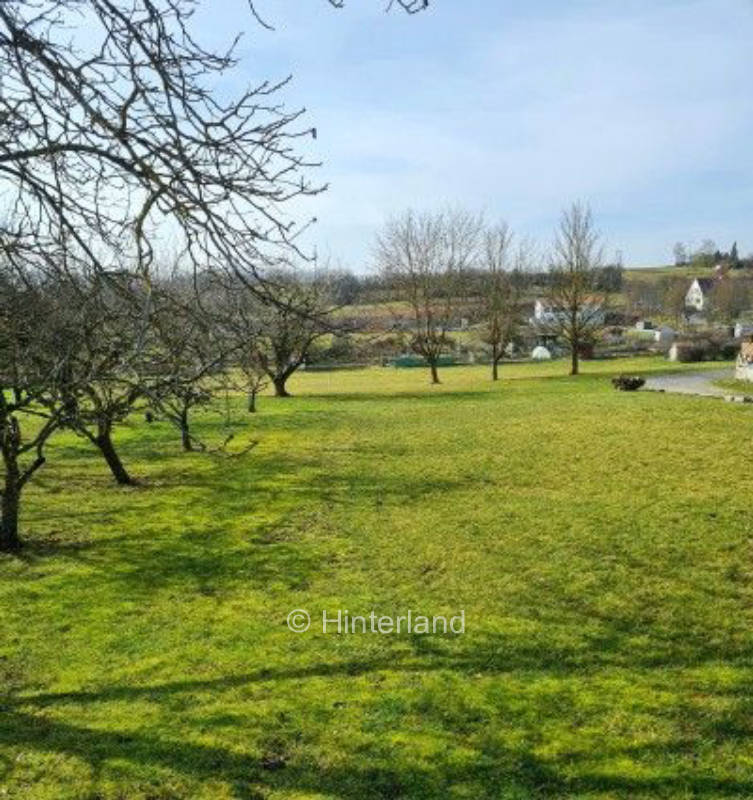 Zeltplatz auf der Obstbaumwiese in Franken