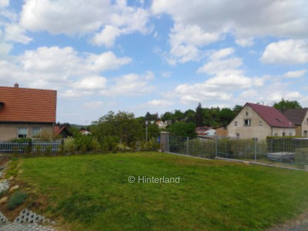 Kleine Wiese in Luthers Heimat