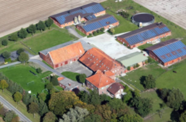 Wiese in Tiernähe auf dem Sauwohlfühlhof