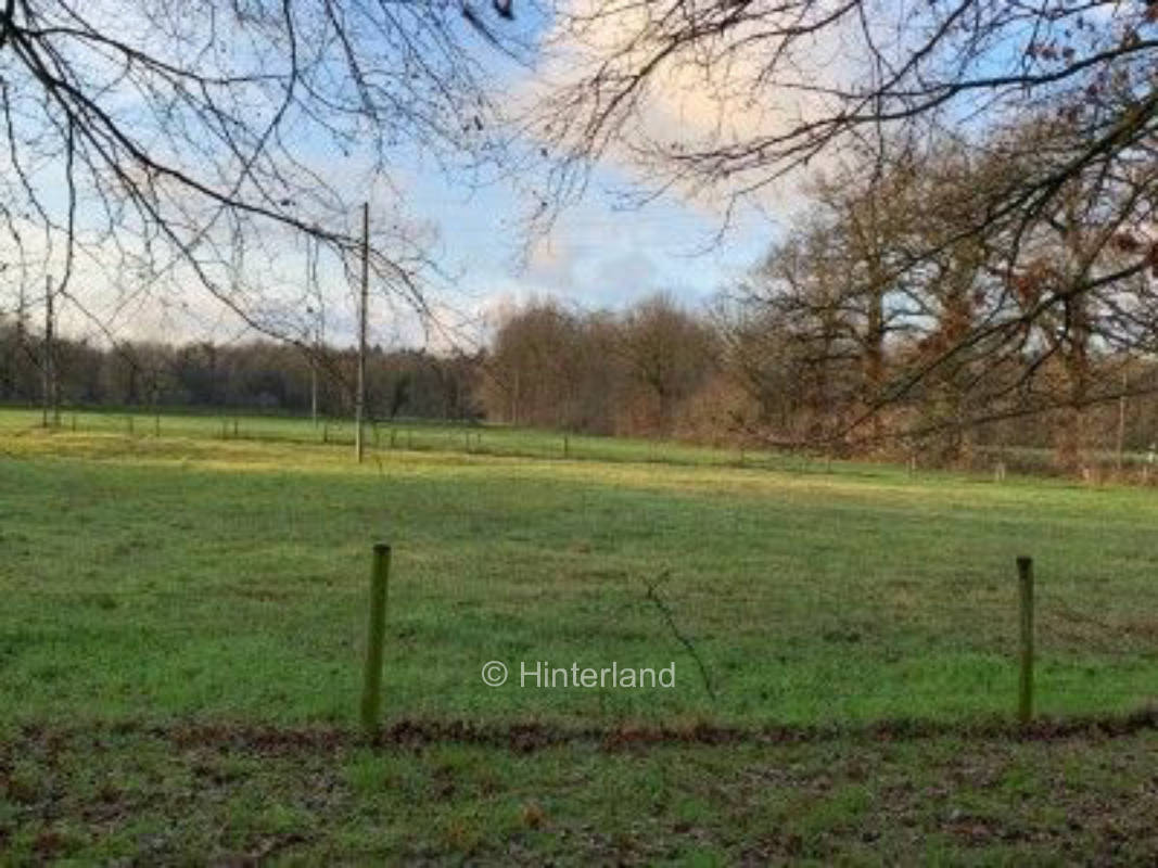 Pure nature on an estate on the border D-NL