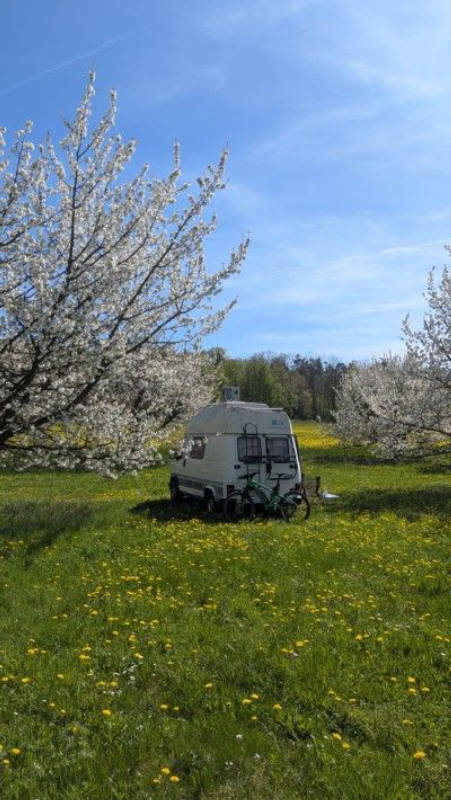 Stellplatz im Kirschgarten