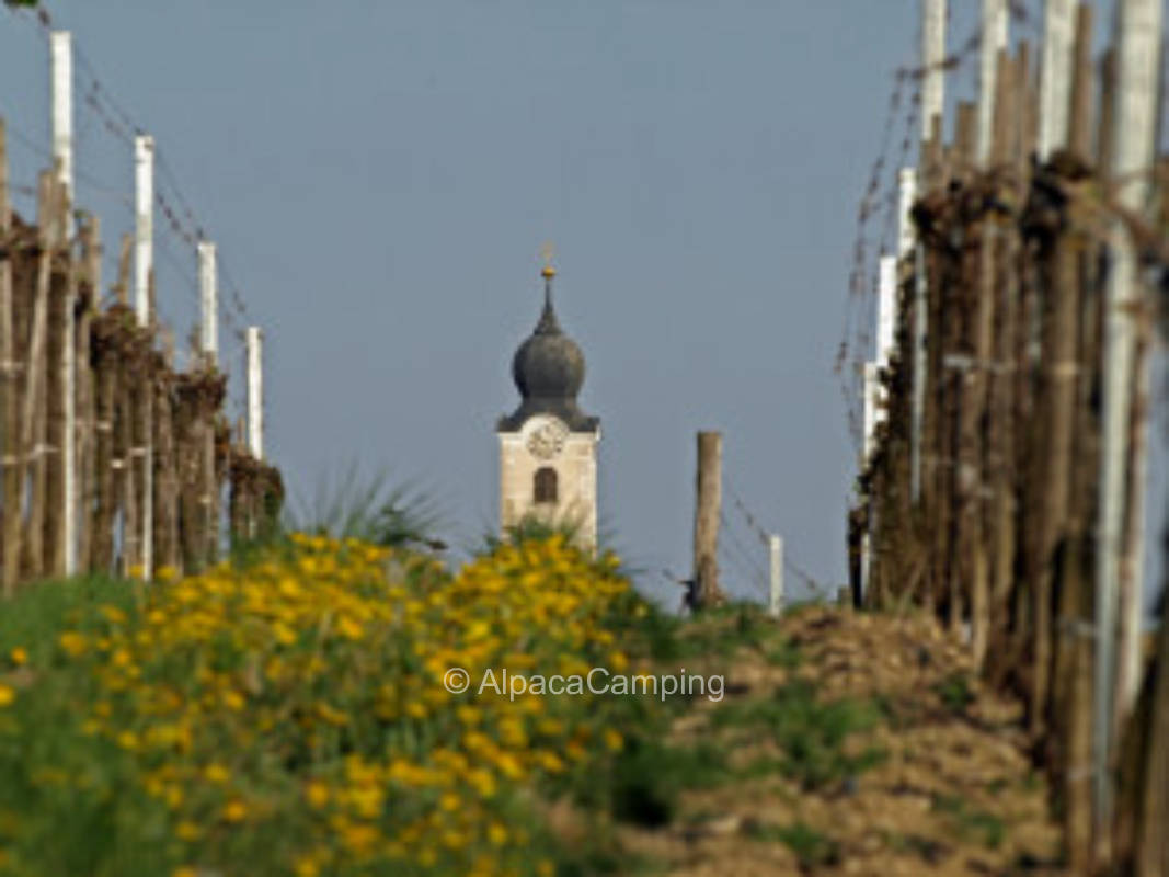 In the middle of the vineyards in the Kremstal "only 1 night bookable" #1