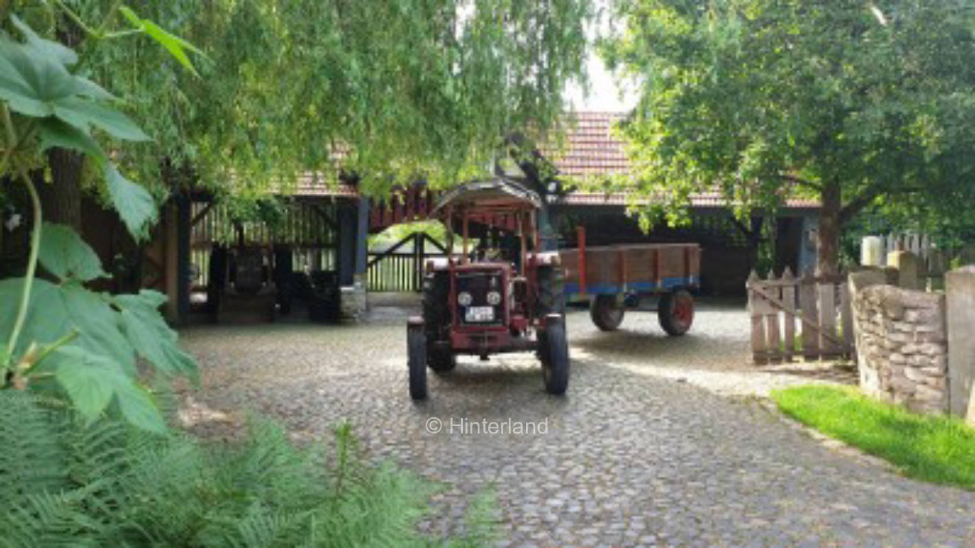 Camping with the wild herbs #1