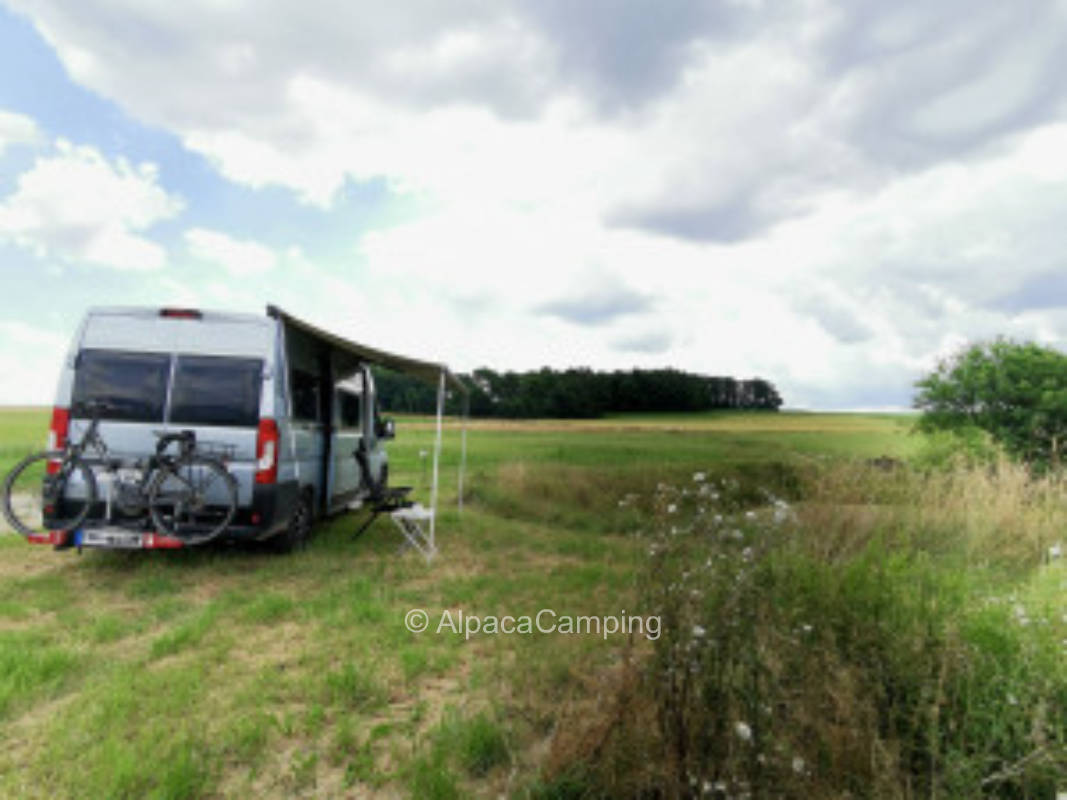 Auf befestigten Wegen #2