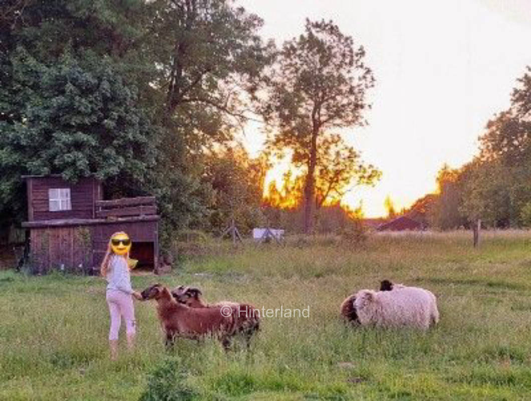 Schlafen bei den Schafen im Auenland der Recknitz