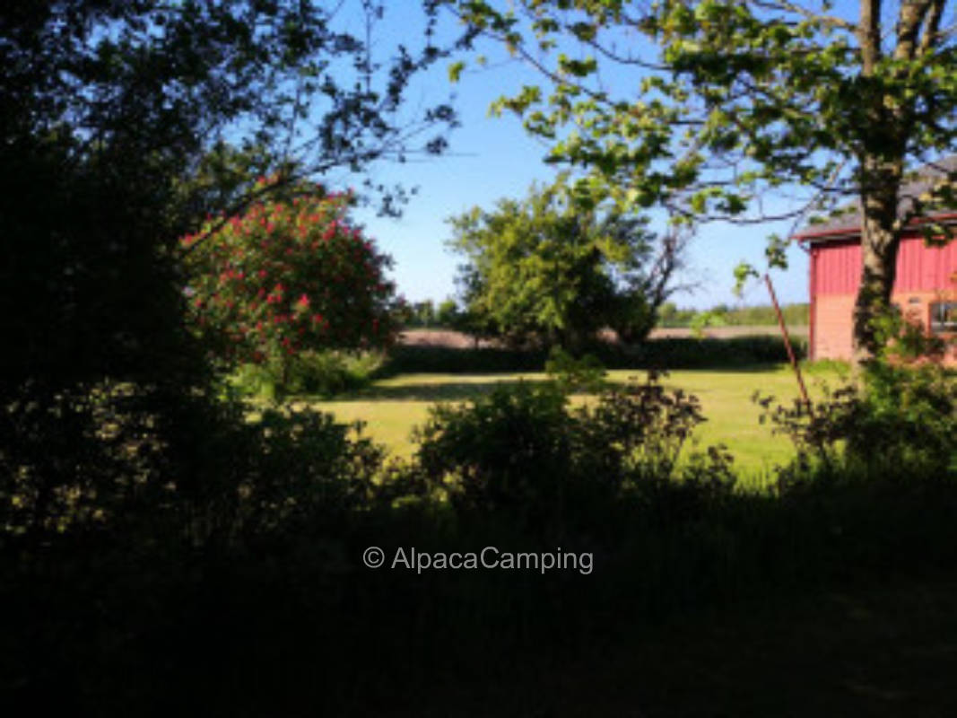 Stellplatz  in ruhiger Ortsrandlage #1