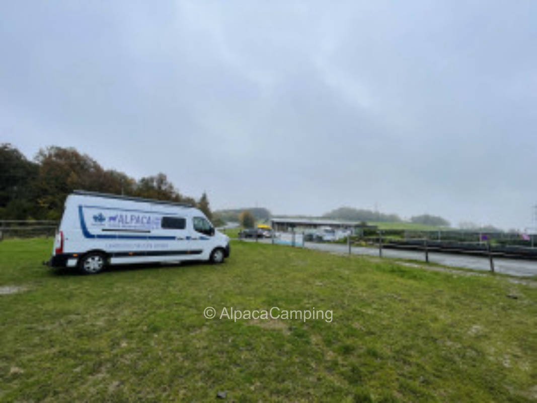 Quiet place in close proximity to the alpacas #2