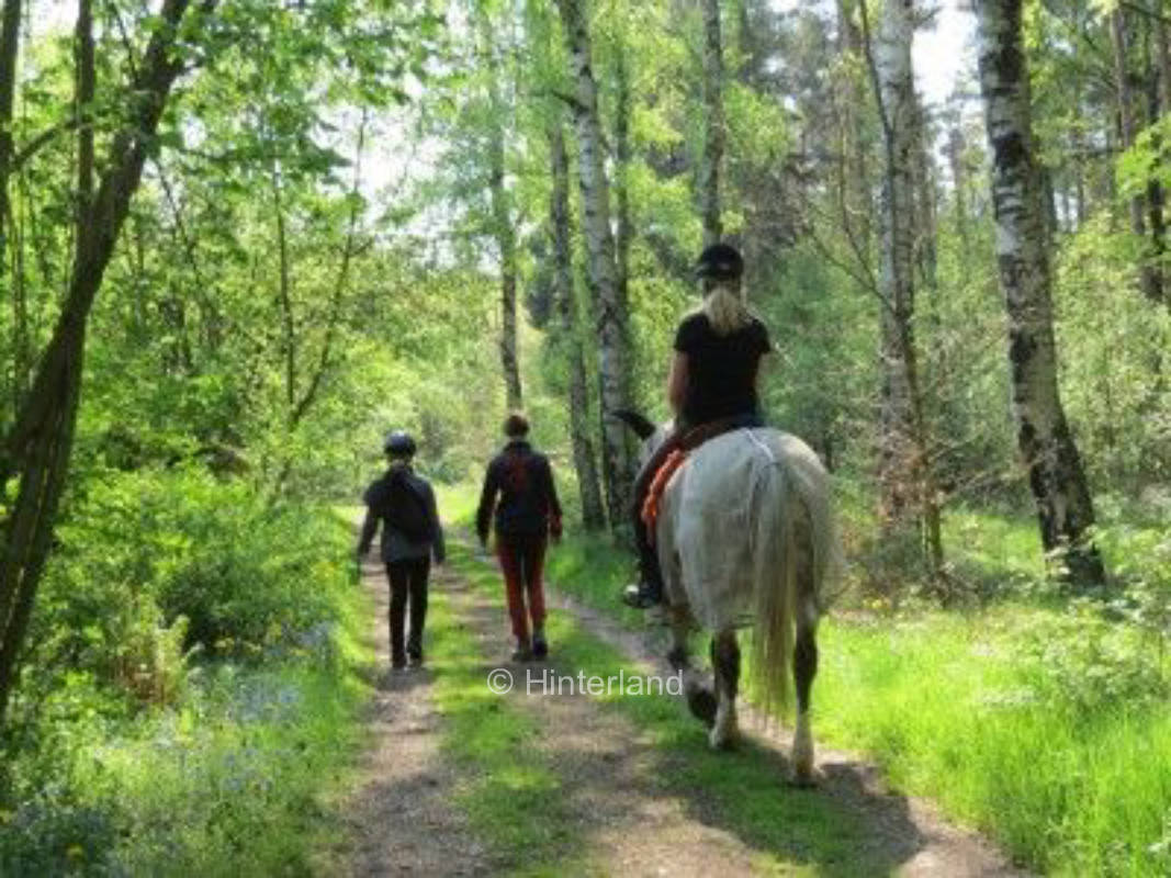 Zeltplatz Farbenkinderhof , privater Stellplatz