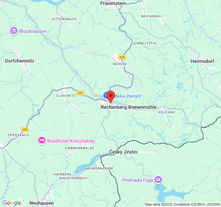 Bei den Pferden am Waldrand