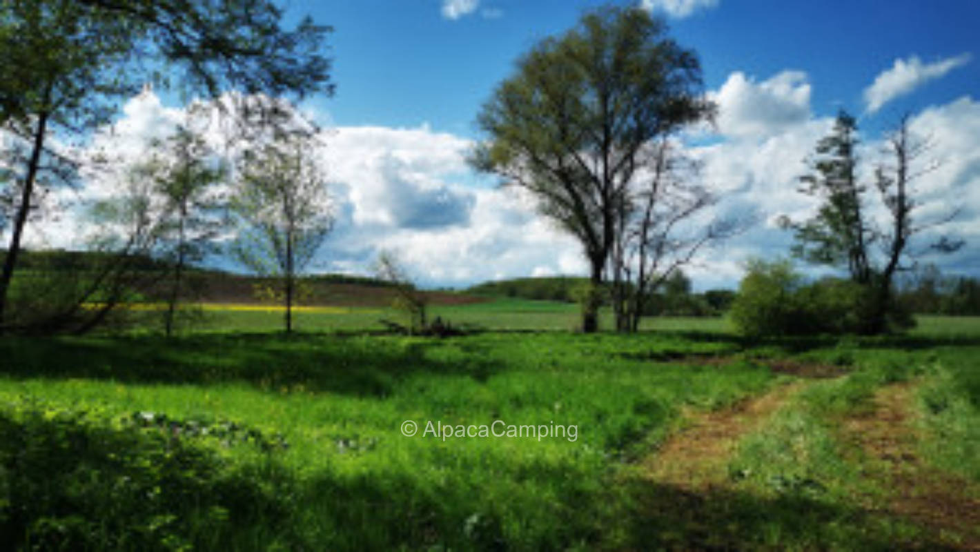 Sleep and more in a dreamlike scenery at the Nassach #2