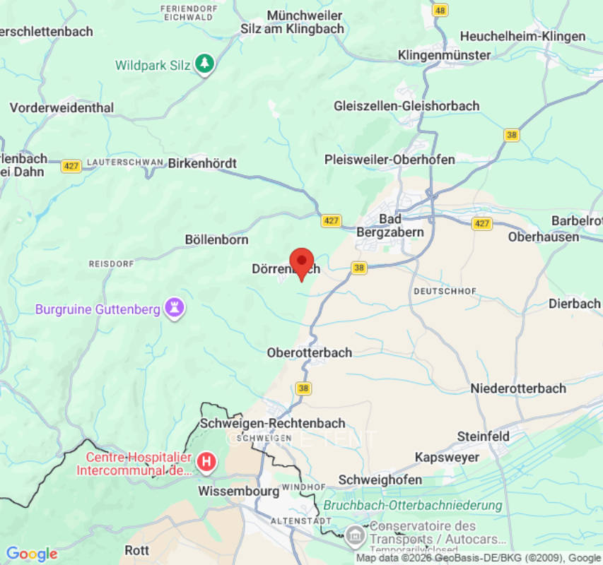 Zeltplatz in Dörrenbach