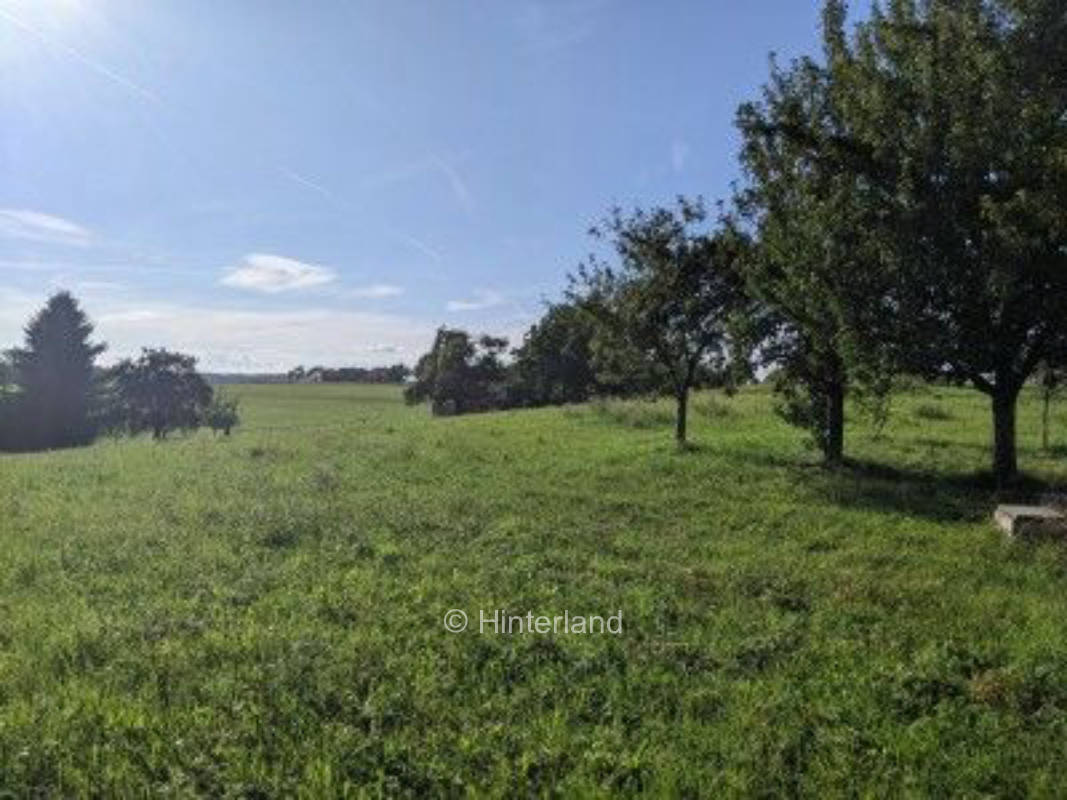 Schwäbische Alb: Feld, Wald und Wiese