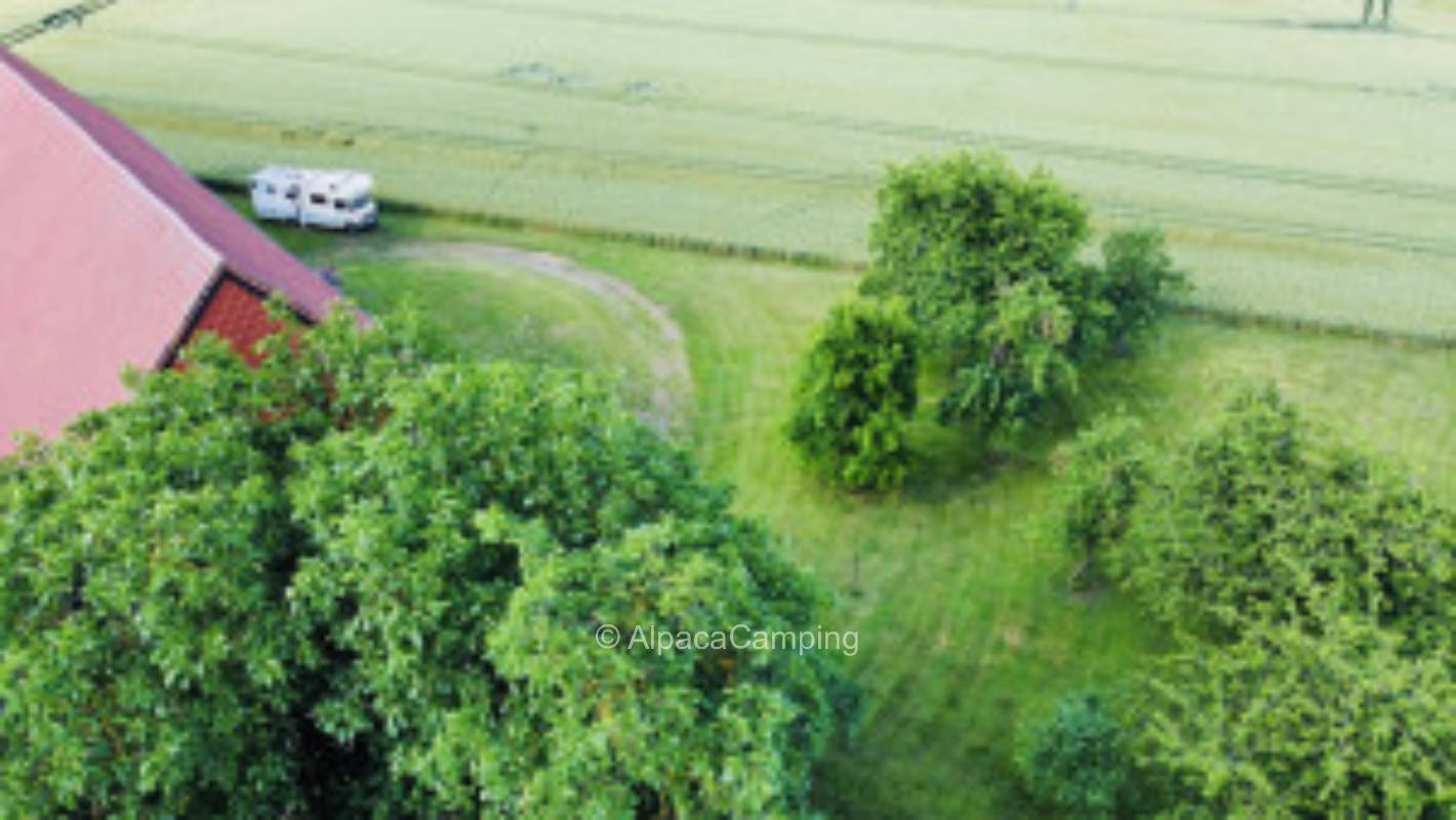 Orchard in Warnetal #1